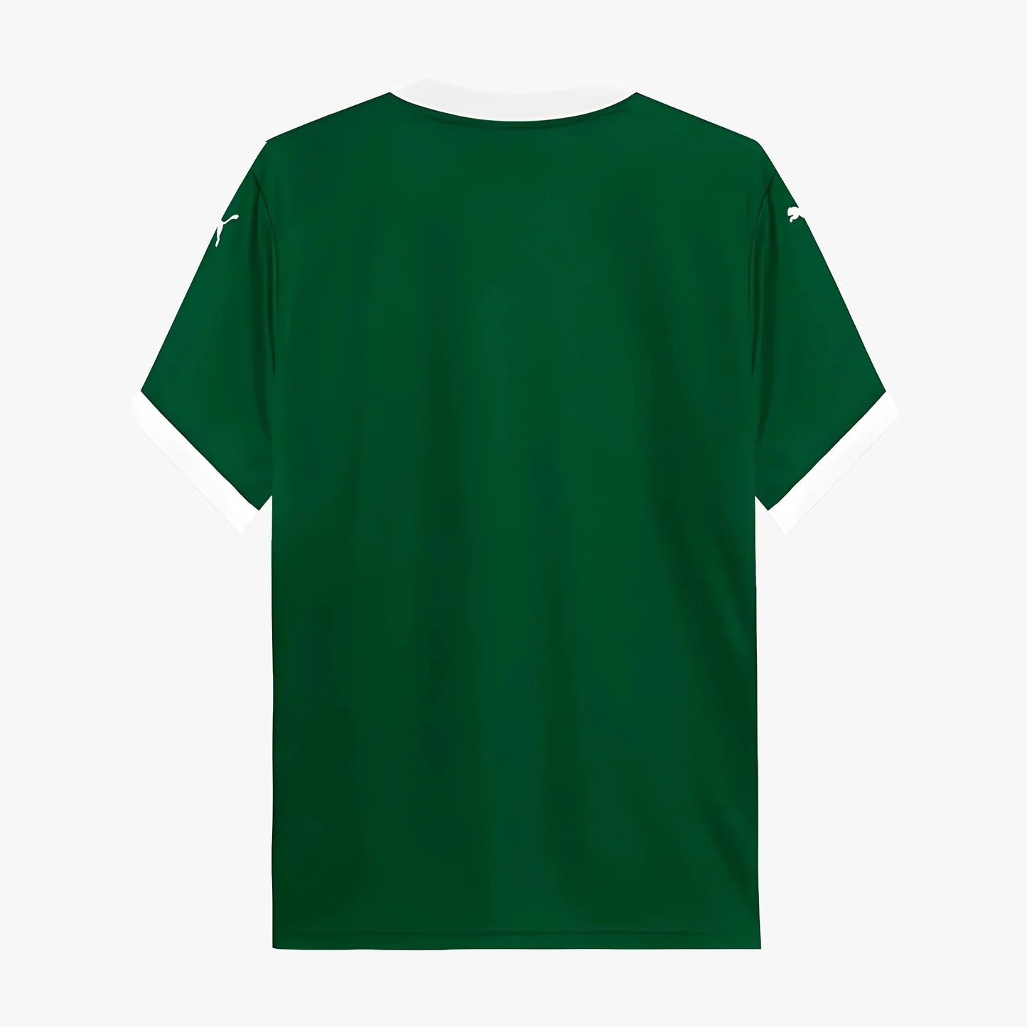 PALMEIRAS HOME 2025 - The Kit Outlet