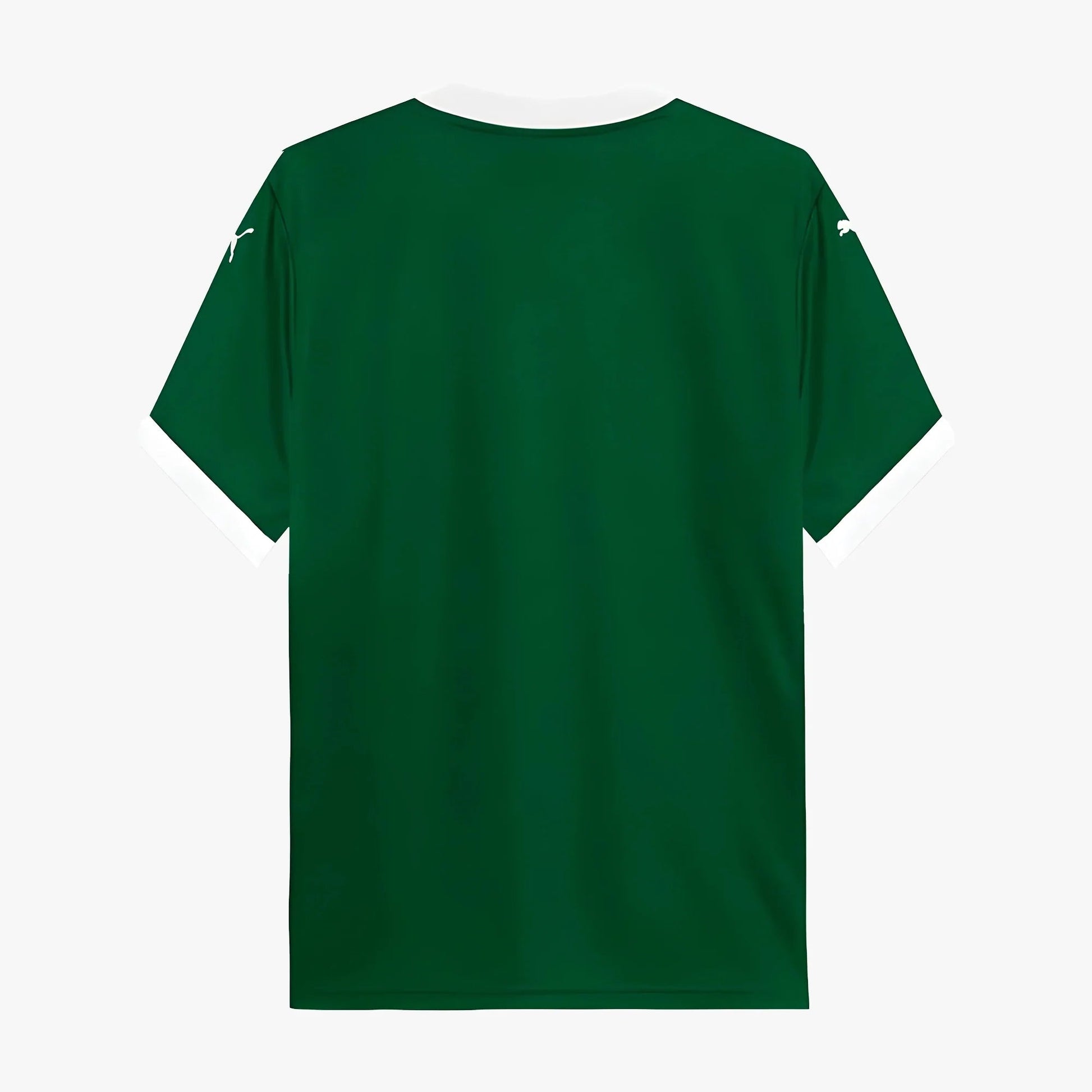 PALMEIRAS HOME 2025 - The Kit Outlet
