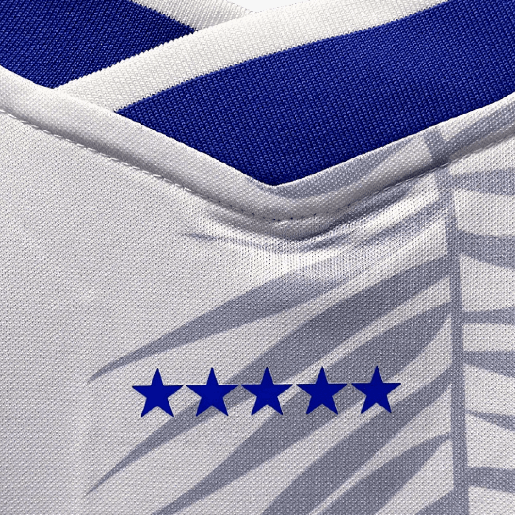 BRASIL BLUE PALM TREE x CORTEIZ - The Kit Outlet